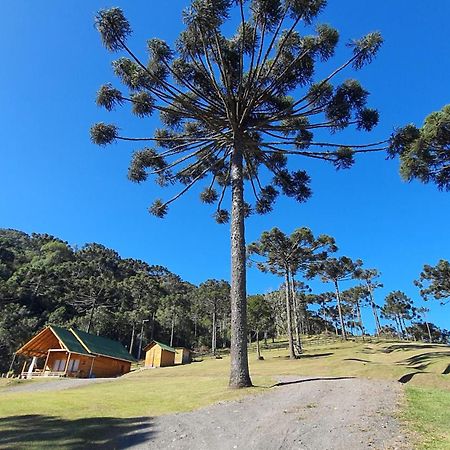 Casa De Campo Quinta Do Vale - Familia ウルビシ エクステリア 写真