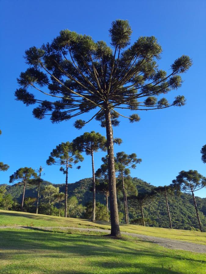 Casa De Campo Quinta Do Vale - Familia ウルビシ エクステリア 写真