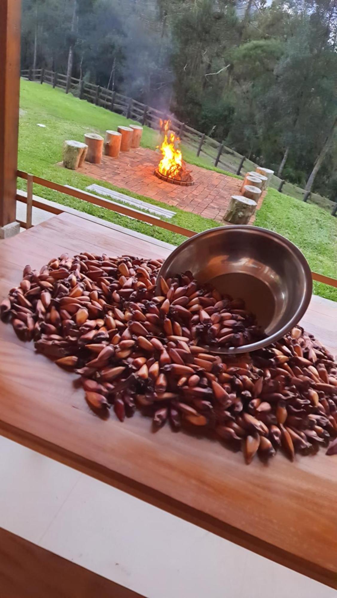 Casa De Campo Quinta Do Vale - Familia ウルビシ エクステリア 写真