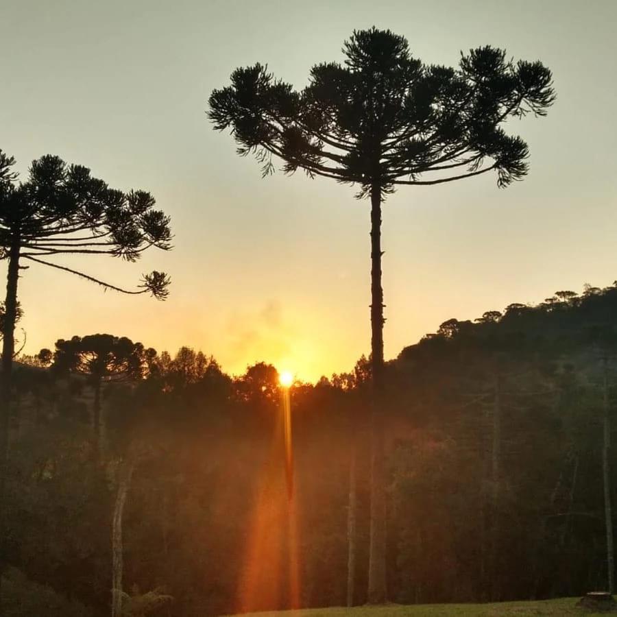 Casa De Campo Quinta Do Vale - Familia ウルビシ エクステリア 写真